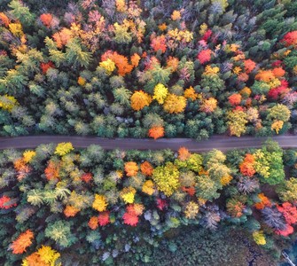 Autumn in Romania: spectacular landscapes, traditions and unforgettable experiences