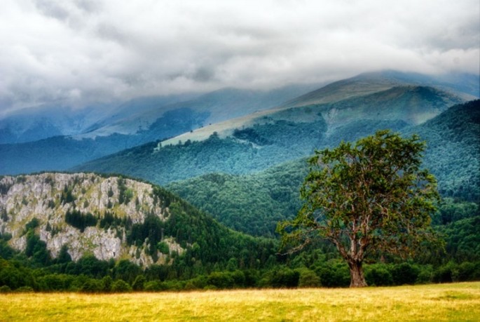 The Peak Gugu -  Godeanu Mountains