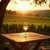 Under the Autumn Sun: Harvesting Grapes in Romania Under the Autumn Sun: Harvesting Grapes in Romania