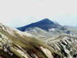 The Peak Gugu -  Godeanu Mountains