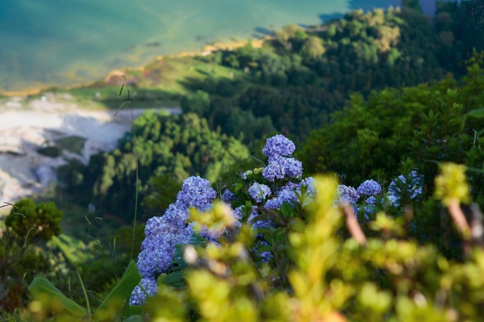 Giornata Internazionale della Biodiversità - una celebrazione delle creature viventi di tutto il mondo Giornata Internazionale della Biodiversità - una celebrazione delle creature viventi di tutto il mondo