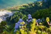 Ziua Internațională a Biodiversității - sărbătoarea viețuitoarelor din lumea întreagă Ziua Internațională a Biodiversității - sărbătoarea viețuitoarelor din lumea întreagă